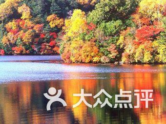 黄金矿工海底版